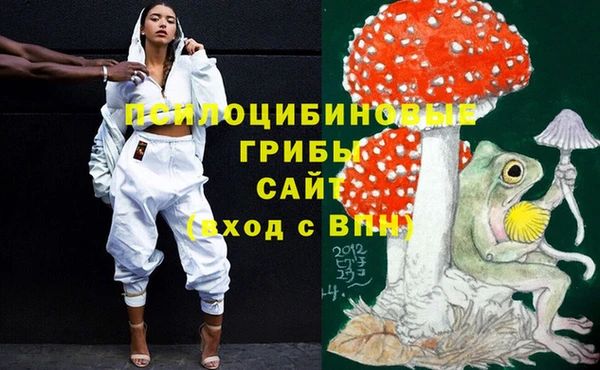 бошки Ладушкин
