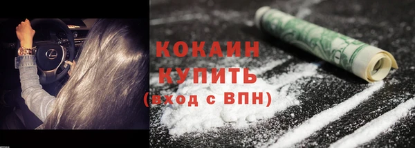 винт Лабытнанги