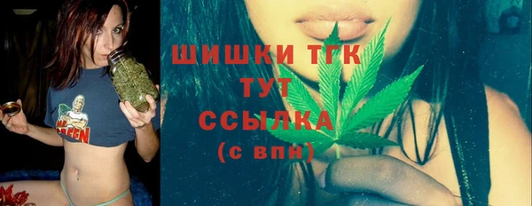 винт Лабытнанги