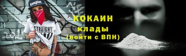 бошки Ладушкин