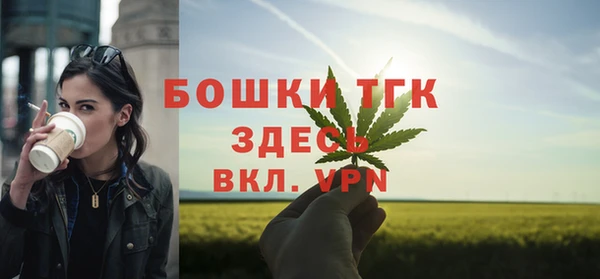 бошки Ладушкин