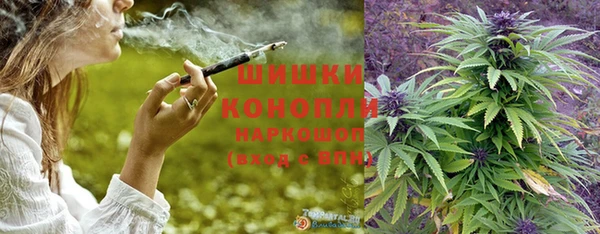 винт Лабытнанги