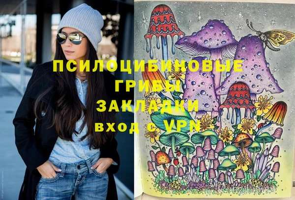 винт Лабытнанги
