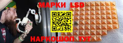 винт Донской