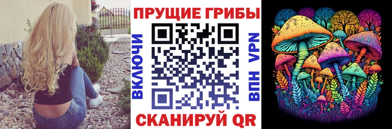 Галлюциногенные грибы прущие грибы  Кемерово 