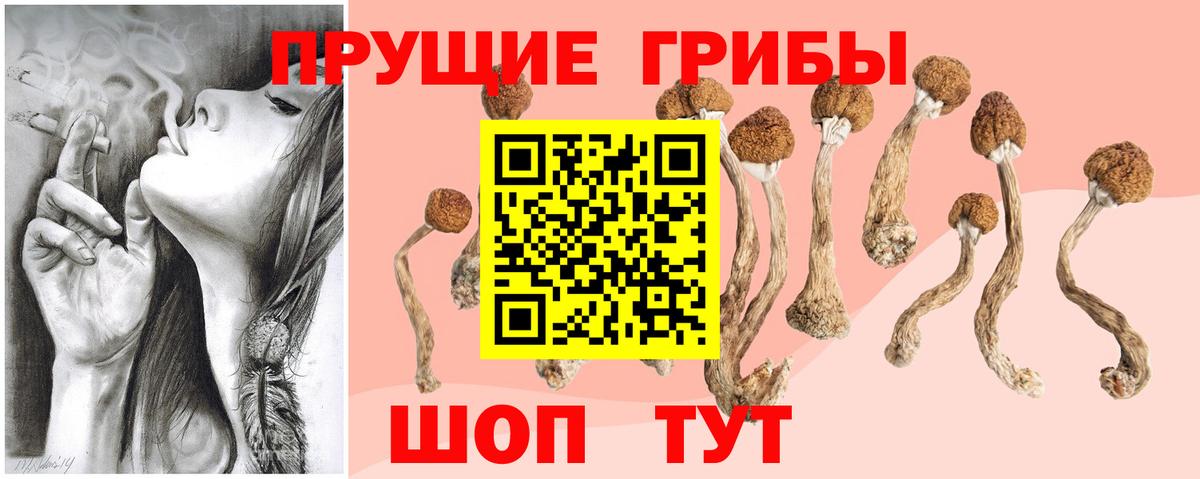 Псилоцибиновые грибы Psilocybine cubensis  Вход с VPN  Кемерово  Псилоцибиновые грибы прущие грибы 